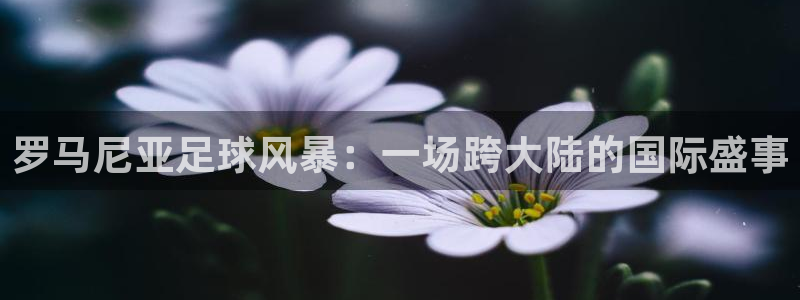 罗马尼亚足球风暴：一场跨大陆的国际盛事