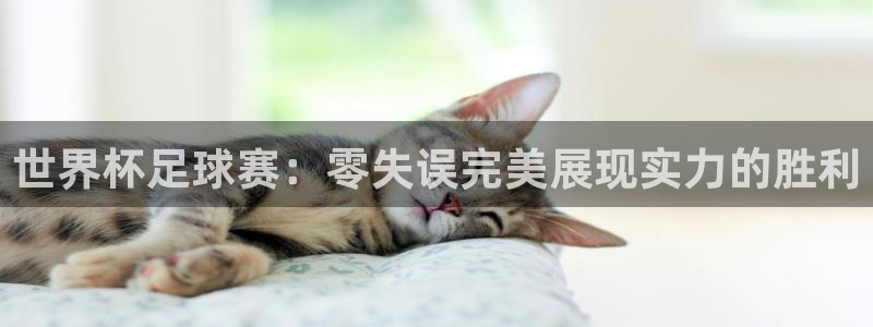 世界杯足球赛：零失误完美展现实力的胜利