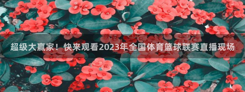 超级大赢家！快来观看2023年全国体育篮球联赛直播现场