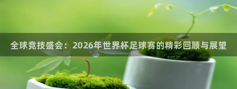 全球竞技盛会：2026年世界杯足球赛的精彩回顾与展望