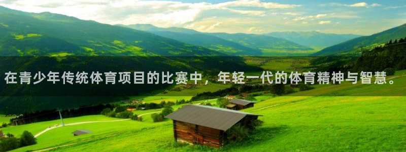 在青少年传统体育项目的比赛中，年轻一代的体育精神与智慧。