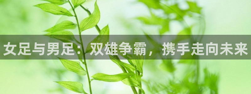 女足与男足：双雄争霸，携手走向未来